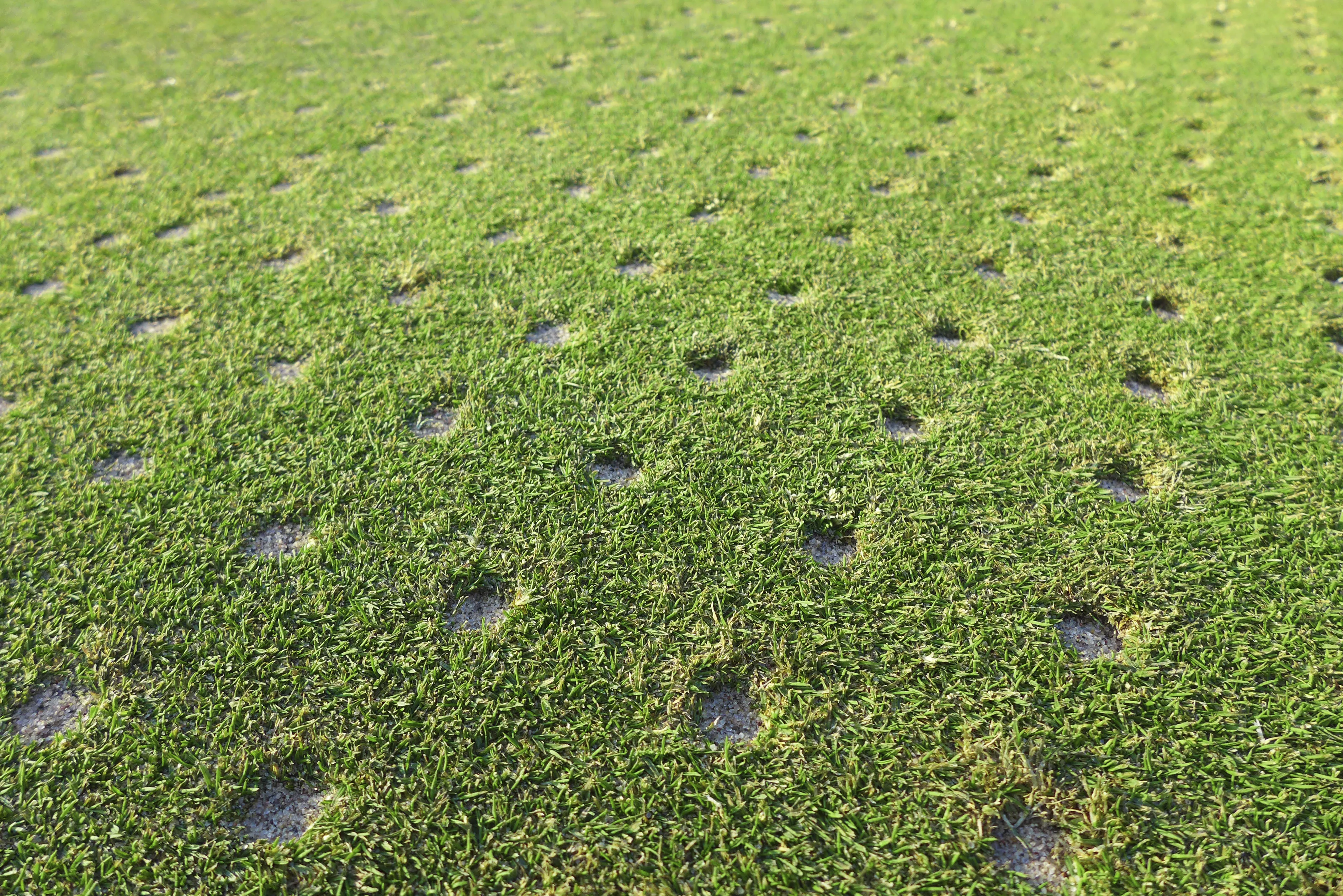 Aeration-and-seeding