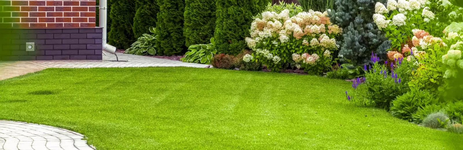 lawn with flowers